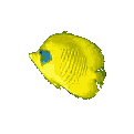 Peces-108.gif