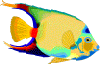 Peces-112.gif