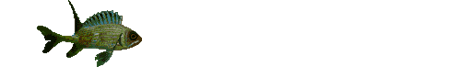 Peces-118.gif