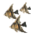 Peces-16.gif