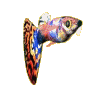 Peces-22.gif