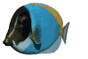 Peces-23.gif