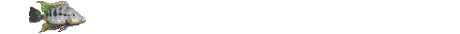 Peces-26.gif
