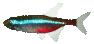 Peces-29.gif
