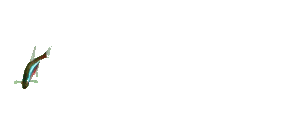 Peces-36.gif