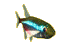 Peces-37.gif