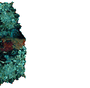 Peces-50.gif