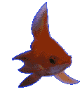 Peces-55.gif