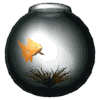Peces-57.gif