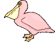 Pelicano-02.gif