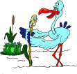 Pelicano-07.gif