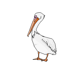 Pelicano-12.gif
