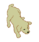 Perros-126.gif