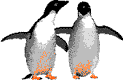 Pinguinos-15.gif