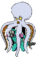 Pulpo-01.gif
