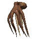 Pulpo-04.gif