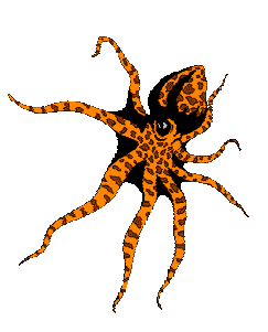 Pulpo-20.gif