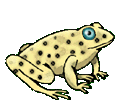 Ranas-04.gif