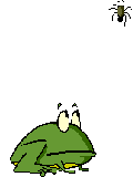 Ranas-08.gif