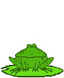 Ranas-101.gif