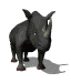 Rinoceronte-03.gif
