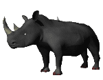 Rinoceronte-04.gif