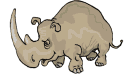 Rinoceronte-06.gif