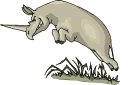 Rinoceronte-11.gif
