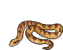 Serpientes-42.gif