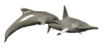Tiburon-martillo-02.gif