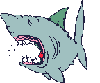 Tiburon-13.gif