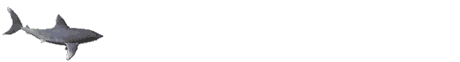 Tiburon-22.gif