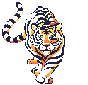 Tigre-07.gif