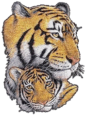 Tigre-09.gif