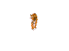 Tigre-14.gif