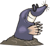 Topo-06.gif