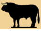 Toros-05.gif