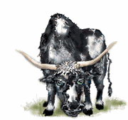 Toros-26.gif