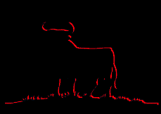 Toros-27.gif