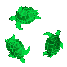 Tortugas-03.gif