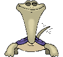 Tortugas-05.gif
