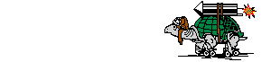 Tortugas-37.gif