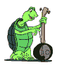 Tortugas-58.gif