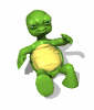 Tortugas-60.gif