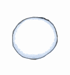 Tortugas-62.gif