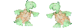 Tortugas-64.gif
