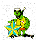 Tortugas-66.gif