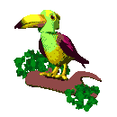 Tucan-02.gif