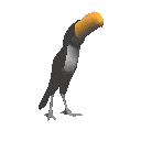 Tucan-04.gif