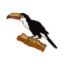 Tucan-05.gif
